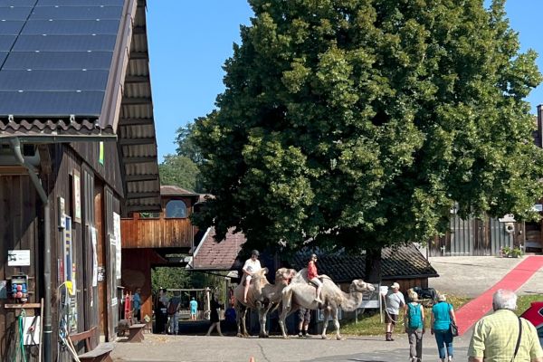 Vereinsausflug Schaukarderei Huttwil 20.07.2024