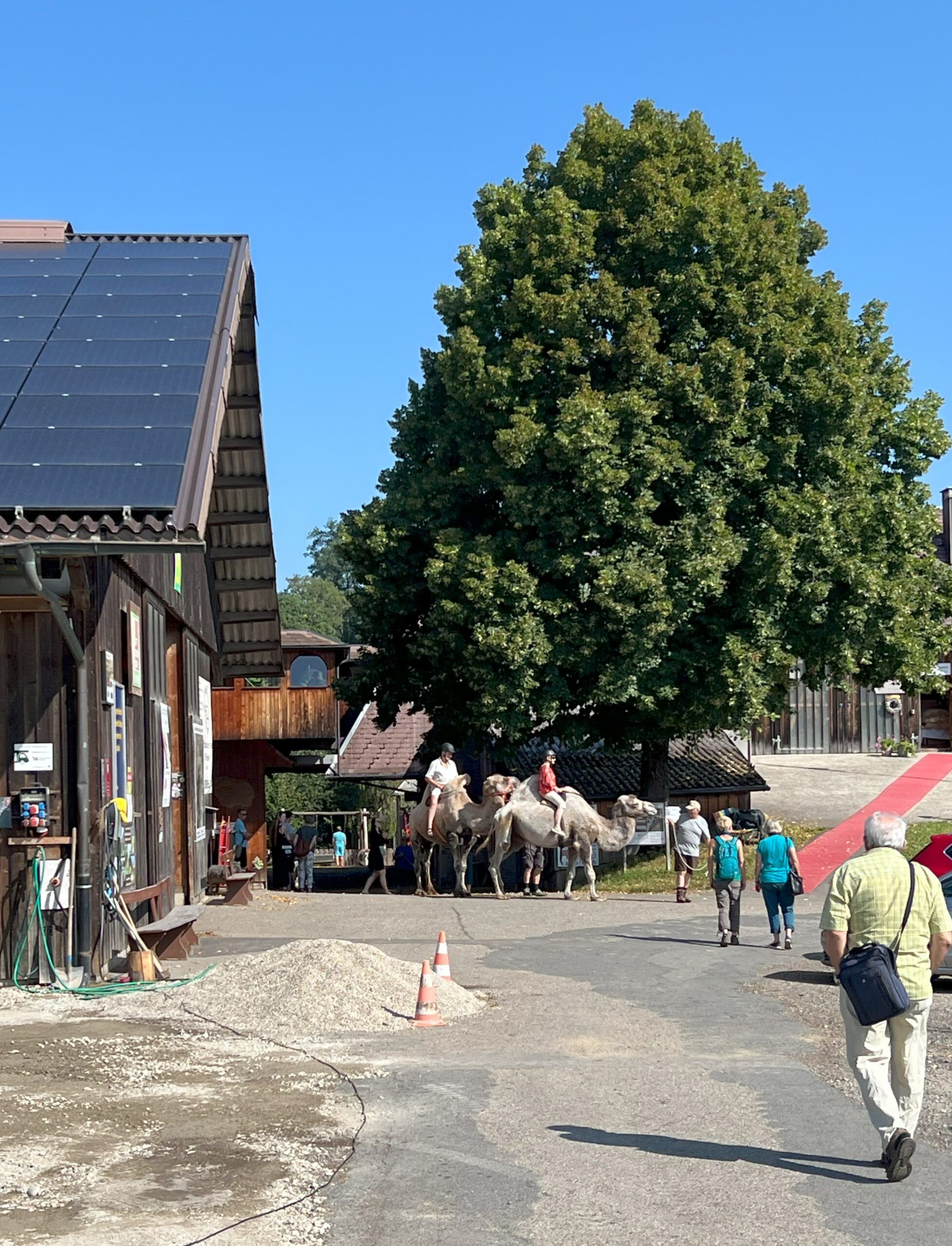 Vereinsausflug Schaukarderei Huttwil 20.07.2024